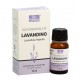 LAVANDINO - OLIO ESSENZIALE - 10 ML - BIO ESSENZE